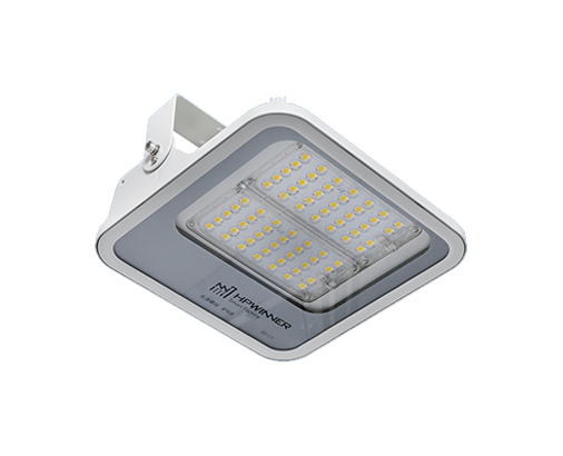 LED Canopy Light