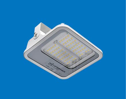 LED Canopy Light