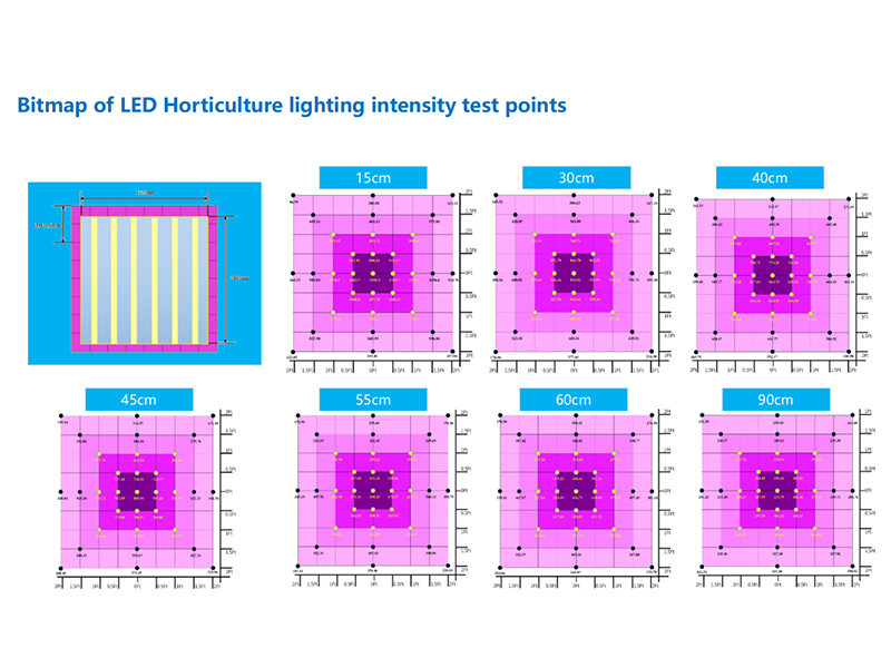 Guidance on Selecting Led Horticulture Light